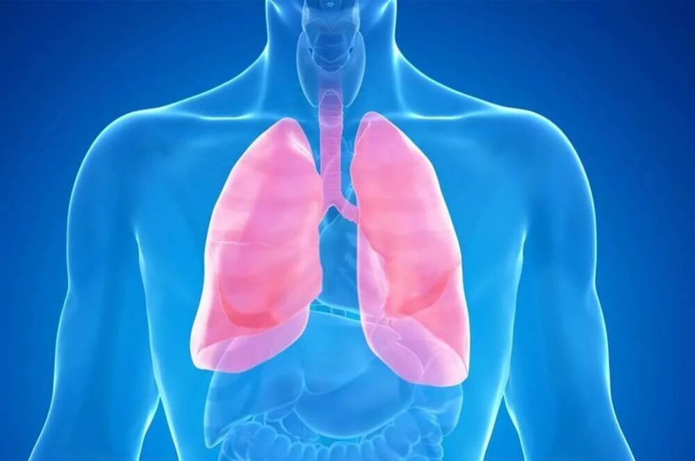 What Is Pleural Effusion and Why It Matters